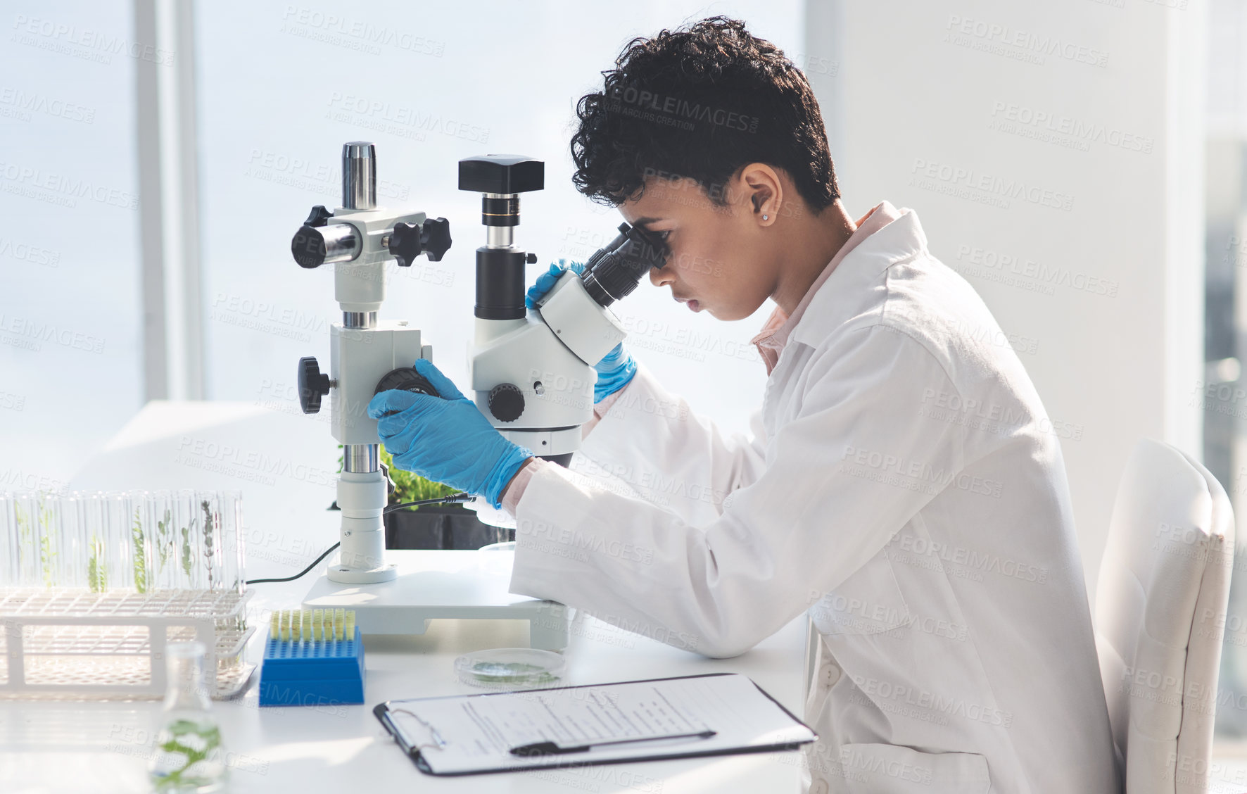 Buy stock photo Woman, scientist and document with microscope in lab, plant experiment, sustainable exam and nature process. Researcher, botany and biotechnology for agriculture study, leaves growth and production