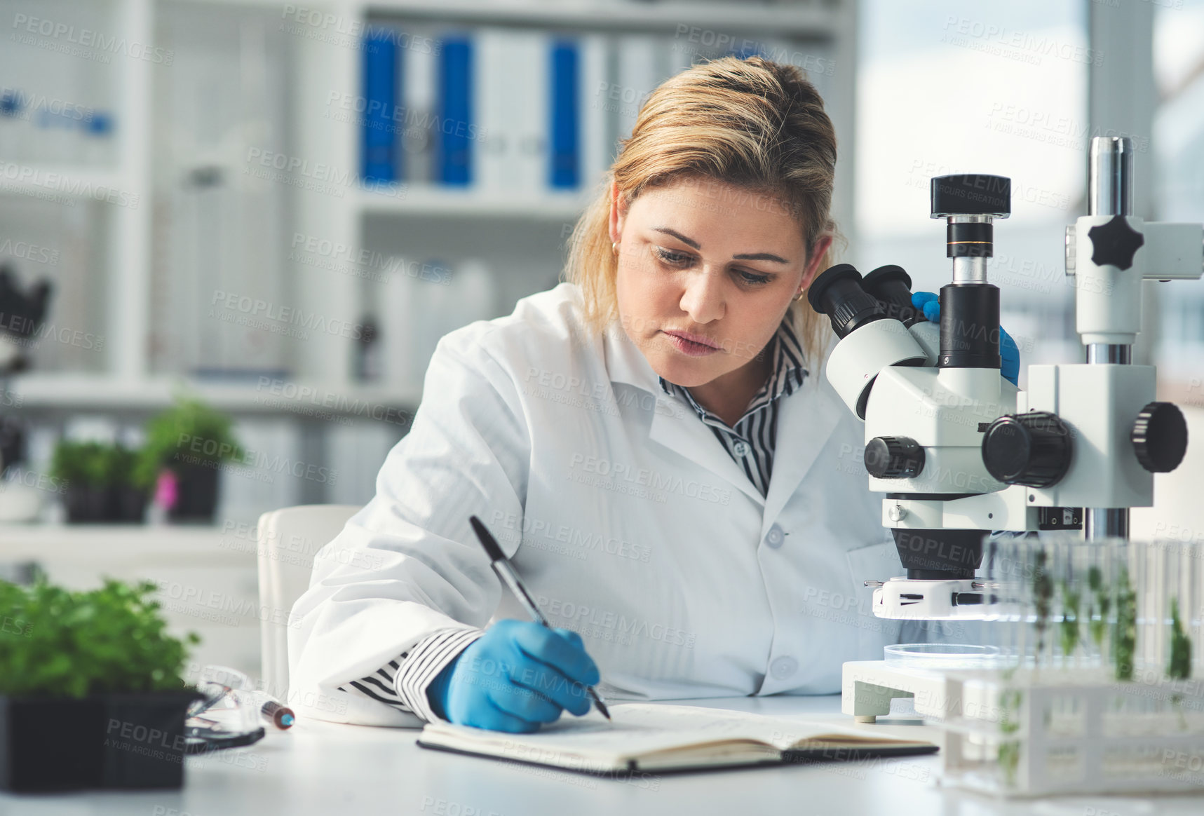 Buy stock photo Cropped shot of an attractive young female scientist making notes while working with a microscope and plants in a laboratory