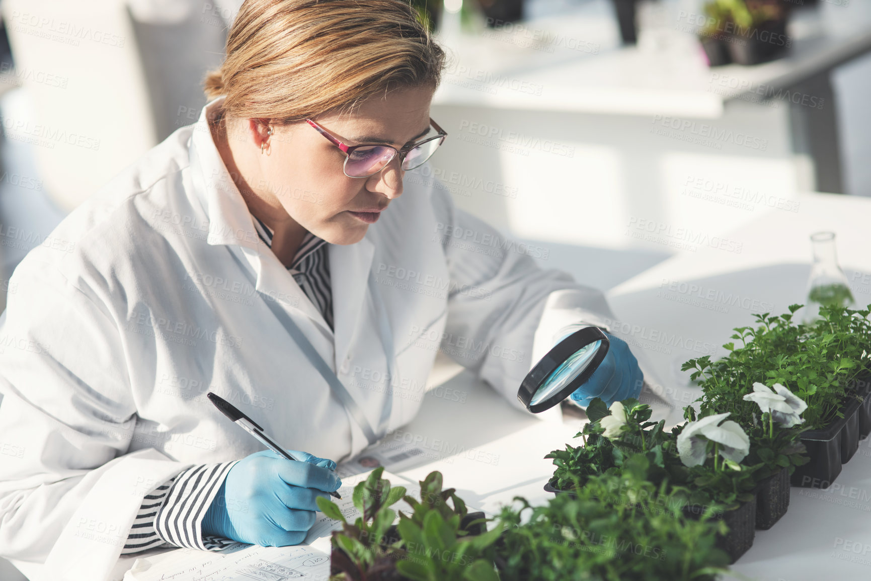 Buy stock photo Cropped shot of an attractive young female scientist making notes while analyzing plant samples with a magnifying glass in a laboratory
