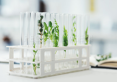 Buy stock photo Still life shot of test tubes containing different plant species in a laboratory