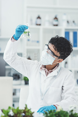 Buy stock photo Cropped shot of an attractive young female scientist inspecting a beaker containing a plant and liquid while working in a laboratory