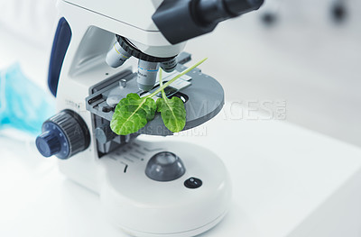 Buy stock photo Still life shot of leaf samples placed on a microscope in a laboratory