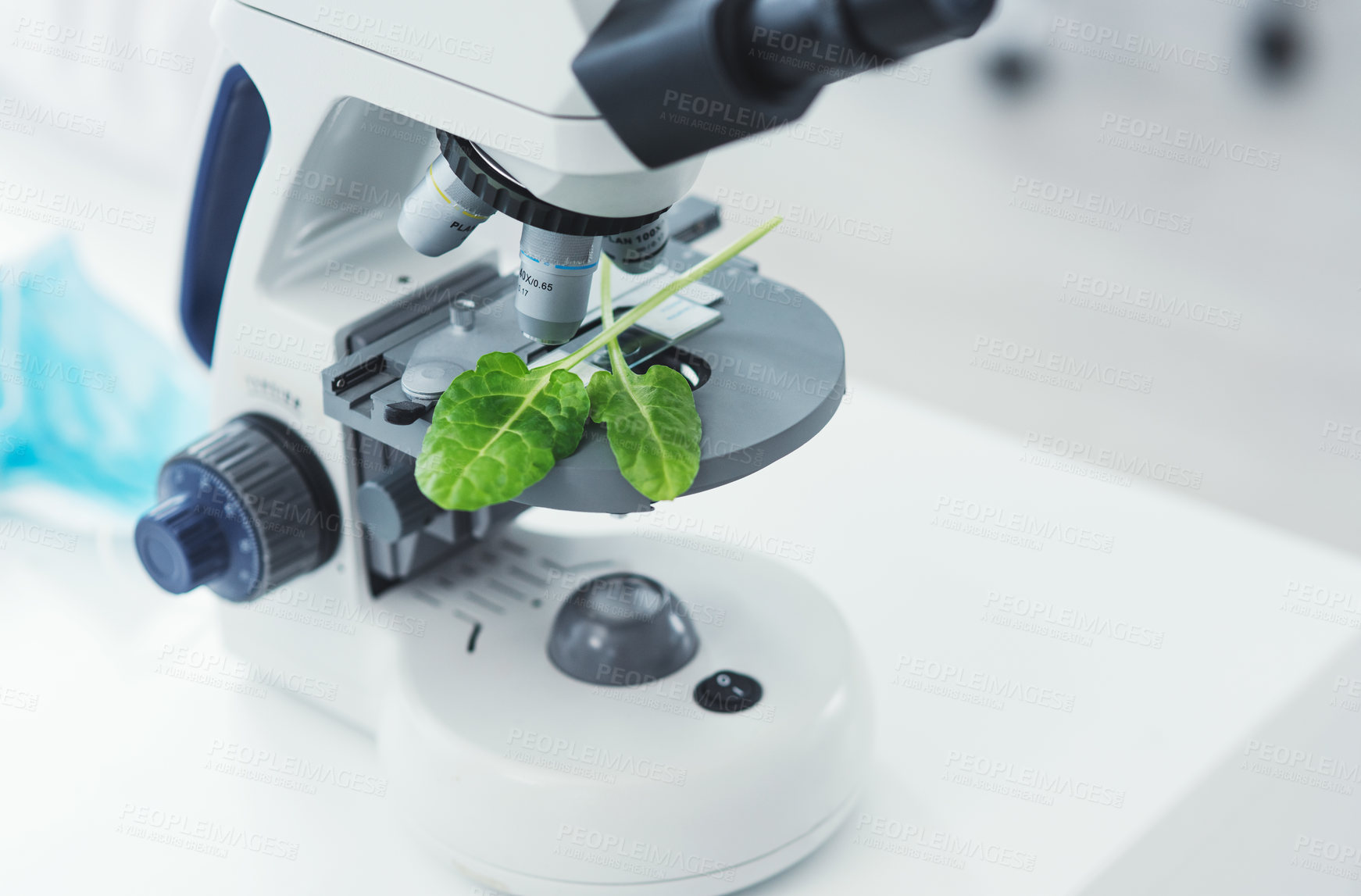 Buy stock photo Still life shot of leaf samples placed on a microscope in a laboratory