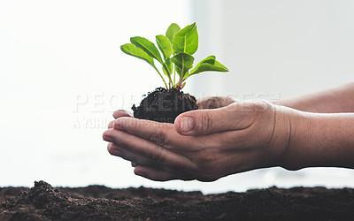 Buy stock photo Cropped shot of an unrecognizable woman's hands holding a plant growing out of soil