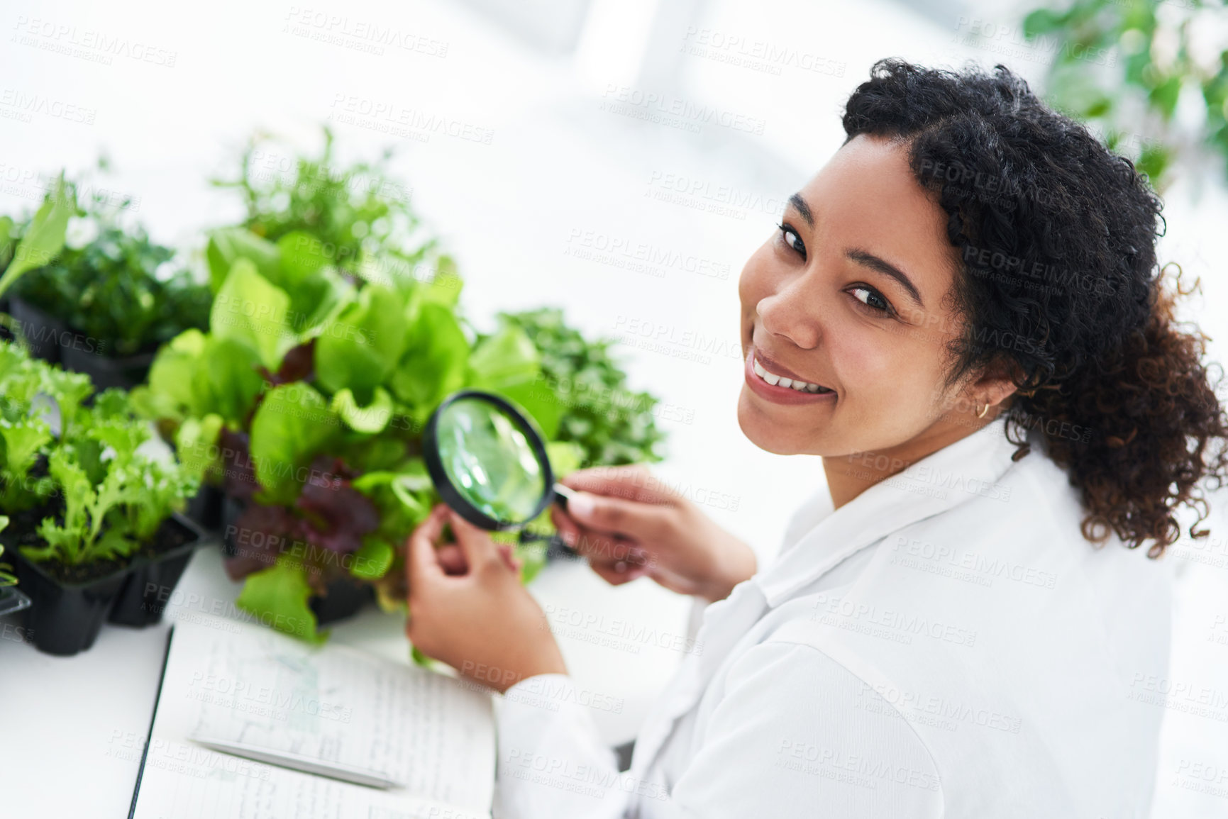 Buy stock photo Cropped shot of a female scientist looking at a plant through a magnifying glass