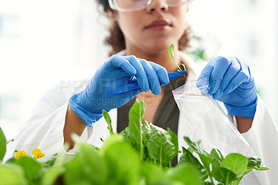 Buy stock photo Cropped shot of a scientist getting samples from a plant for her experiment
