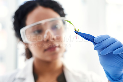 Buy stock photo Cropped shot of a female scientist analyzing a plant in her laboratory