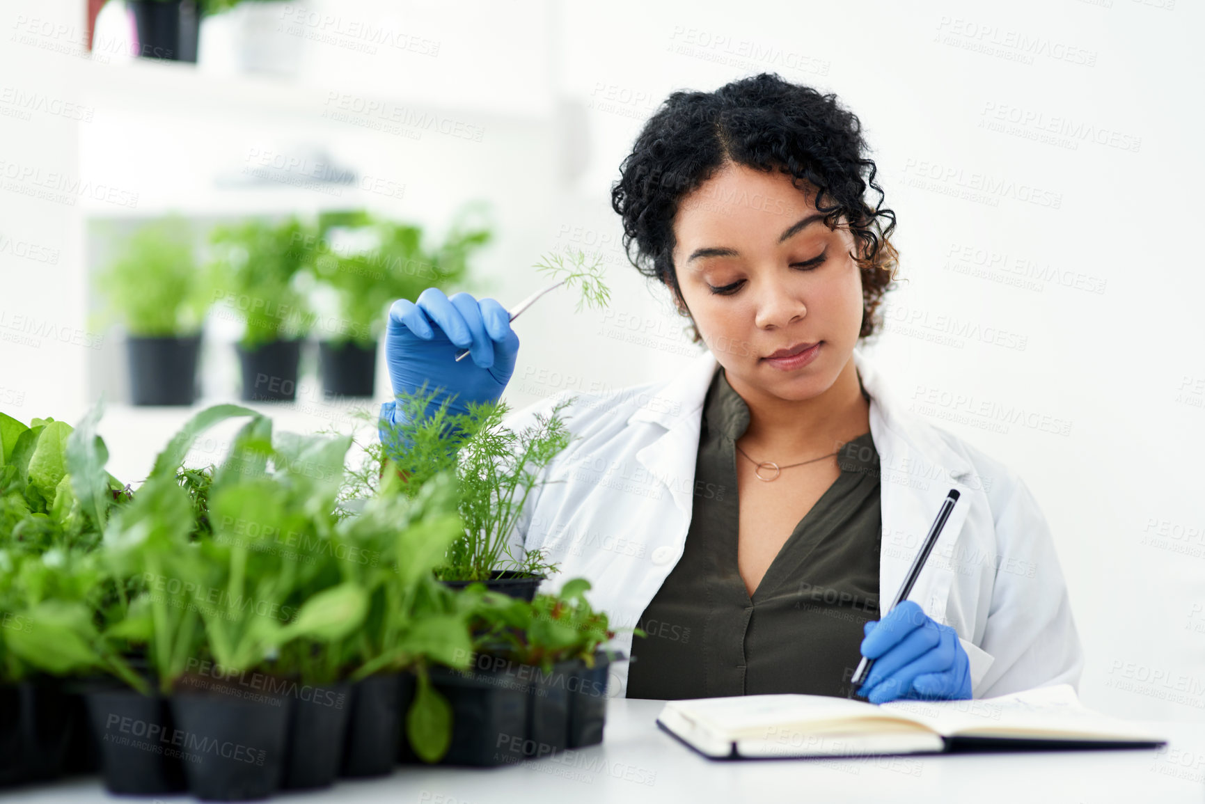 Buy stock photo Cropped shot of a female scientist making notes while analyzing a plant