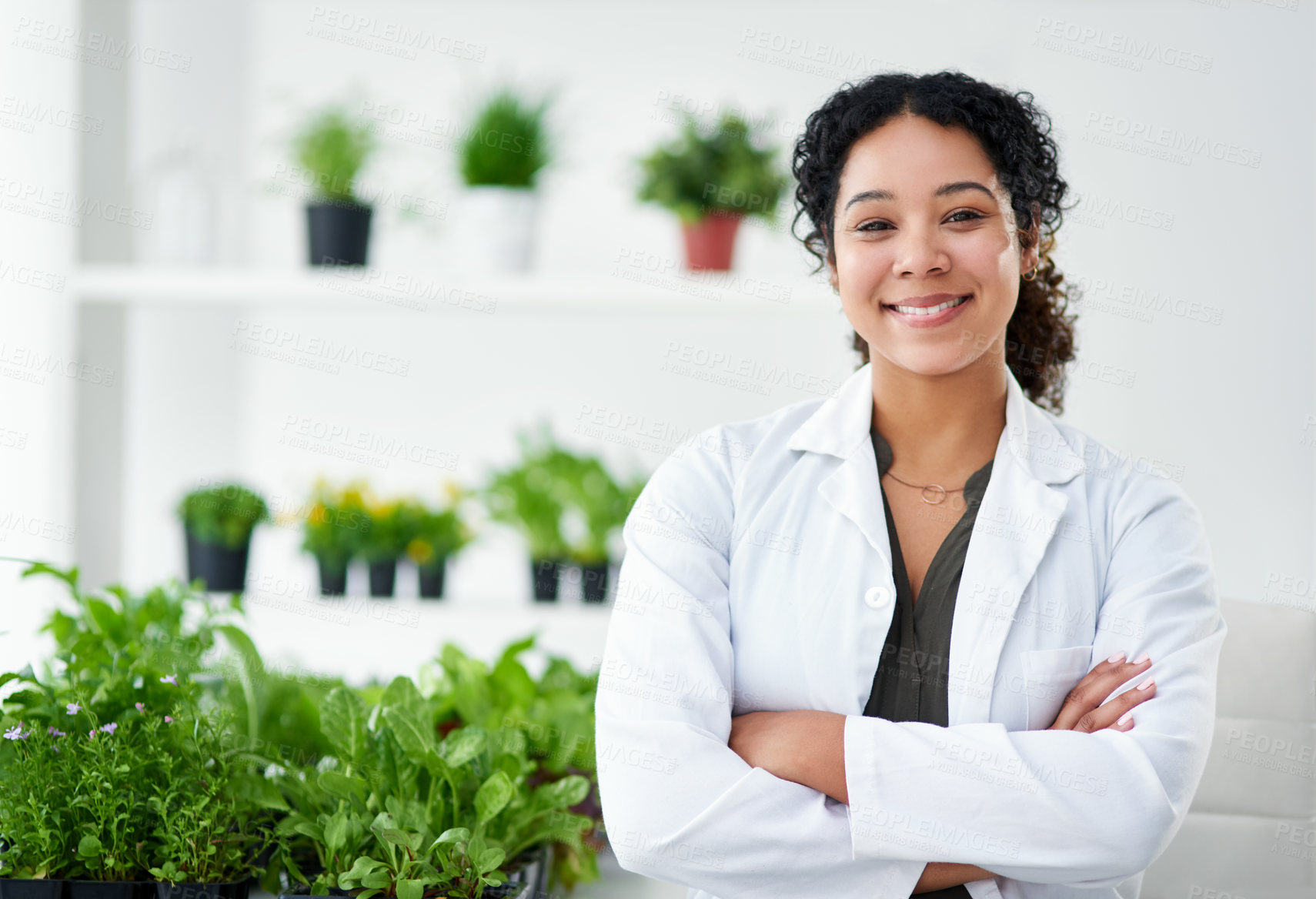 Buy stock photo Science, confidence and portrait of happy woman with plants for gmo development, growth or research study. Green, leaves and biotech scientist with innovation, smile or arms crossed in greenhouse lab