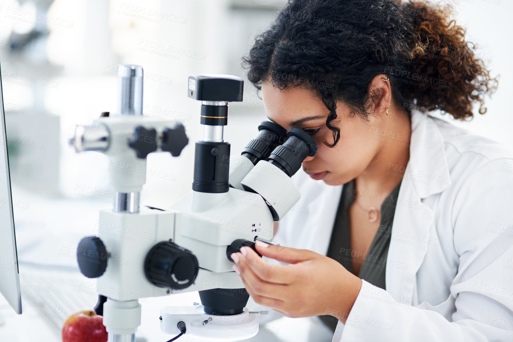 Buy stock photo Cropped shot of a young female scientist using a microscope in a laboratory