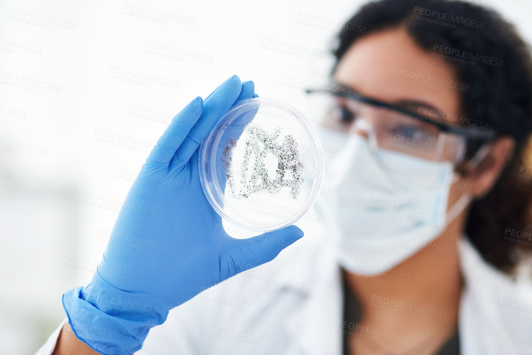 Buy stock photo Lab, research and woman with sample in glass for medical development, virus inspection and science. Biotech, test and scientist in mask for vaccine innovation, healthcare study and bacteria growth