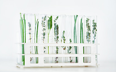 Buy stock photo Shot of different plant species in test tubes in a lab