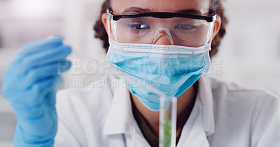 Buy stock photo Science, test tube and plant with woman in laboratory for medical, agriculture and pharmacy research. Biotechnology, ecology and healthcare with gmo scientist and for biology, vaccine and medicine