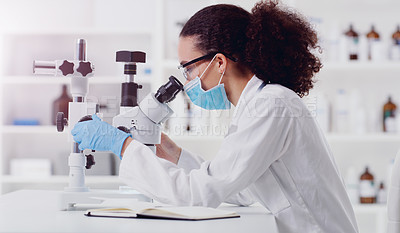 Buy stock photo Microscope, sample analysis and woman scientist in a lab for science, covid and research. Laboratory, innovation and female health expert checking corona, medicine or results while working on a cure