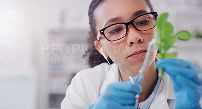 Buy stock photo Leaf, growth or woman botanist with plant research, innovation or experiment study. Futuristic, scissor or glasses by scientist for gmo engineering, inspection or chlorophyll gene implant or extract
