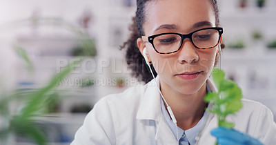Buy stock photo Plants, research and woman in lab, leaves and scientific experiment with ecology and samples for medical treatment. Person, earphones and scientist with botany, study and environment with agriculture
