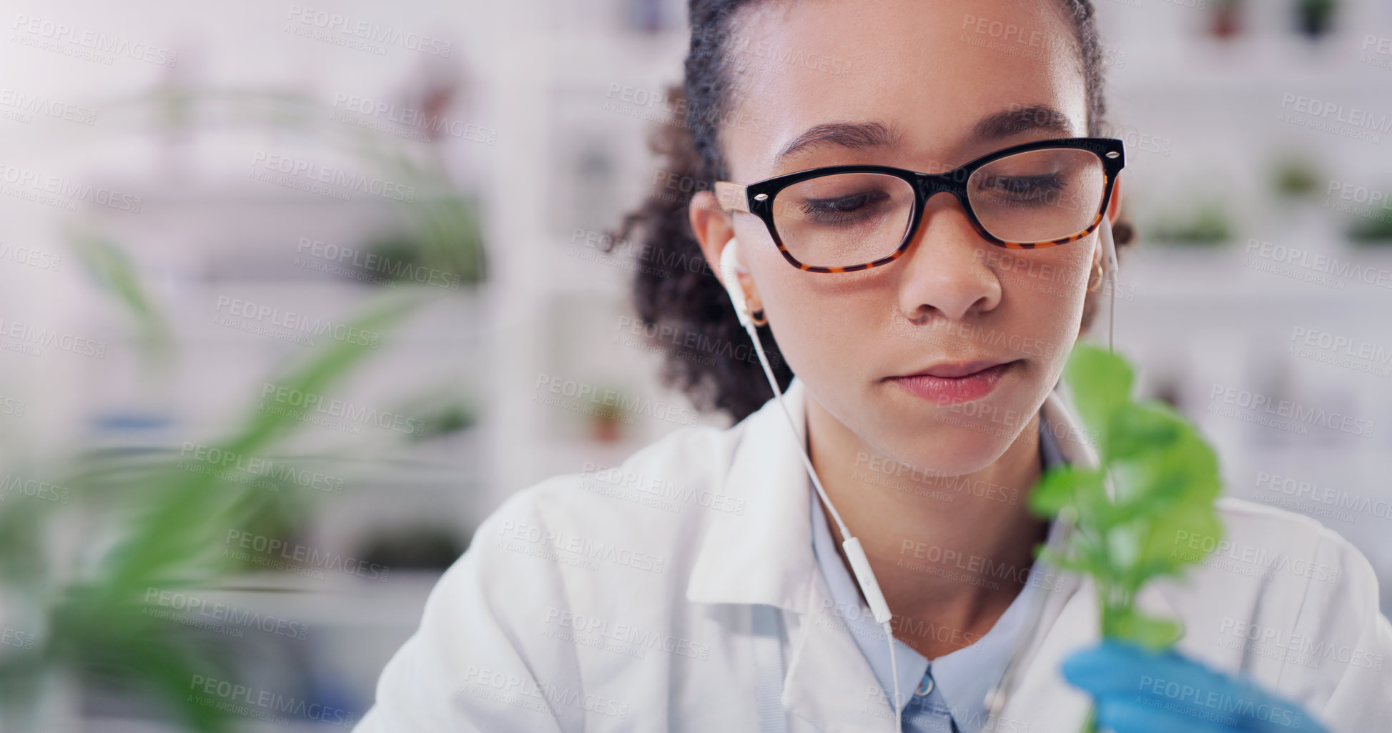 Buy stock photo Plants, research and woman in lab, leaves and scientific experiment with ecology and samples for medical treatment. Person, earphones and scientist with botany, study and environment with agriculture