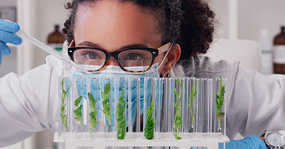 Buy stock photo Science, focus and plant with woman in laboratory for medical, pharmacy and research. Biotechnology, growth and healthcare study with scientist and test tube for sustainability, vaccine and ecology