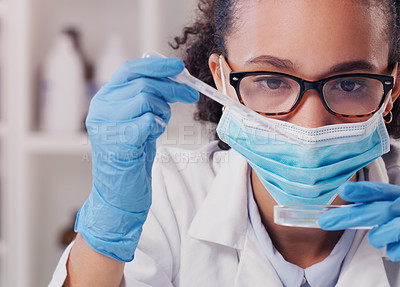 Buy stock photo Black woman, scientist and petri dish in lab for study, research and innovation on healthcare. Closeup, female person and chemicals with science for cure, vaccine and medical on virus with biotech
