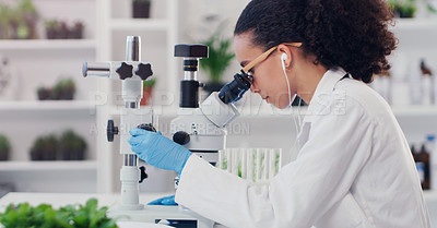 Buy stock photo Science, ecology and microscope with woman in laboratory for botany expert, medical and planning. Biotechnology, vaccine analysis and medicine with scientist for research, healthcare and pharmacy