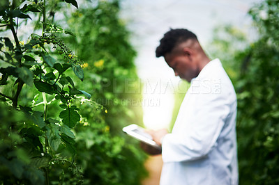 Buy stock photo Defocused shot of a young botanist using a digital tablet while studying plants outdoors