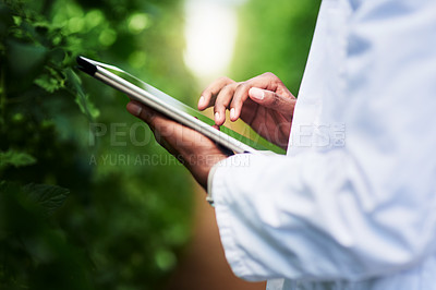 Buy stock photo Shot of an unrecognizable botanist using a digital tablet while working outdoors in nature
