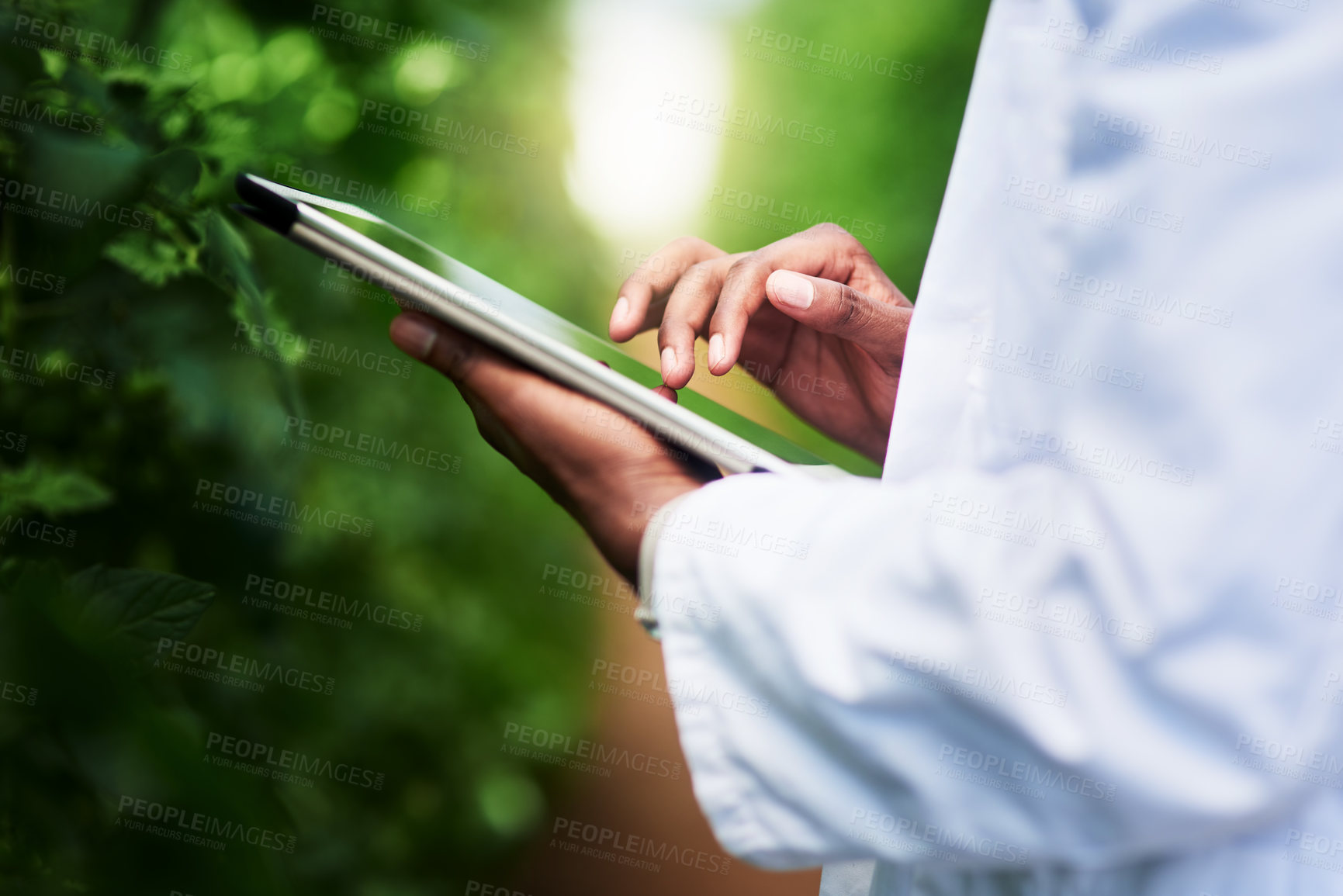 Buy stock photo Shot of an unrecognizable botanist using a digital tablet while working outdoors in nature
