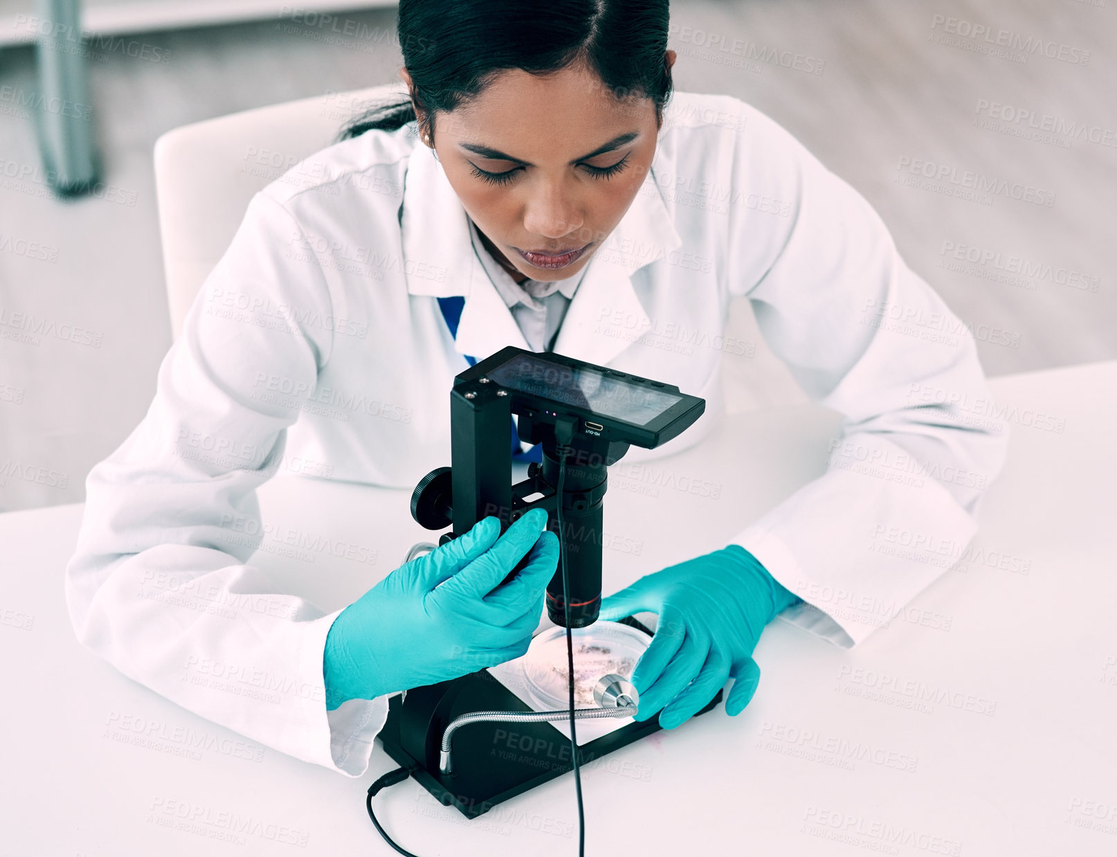 Buy stock photo High angle shot of an attractive young female scientist using a digital microscope while working in a laboratory