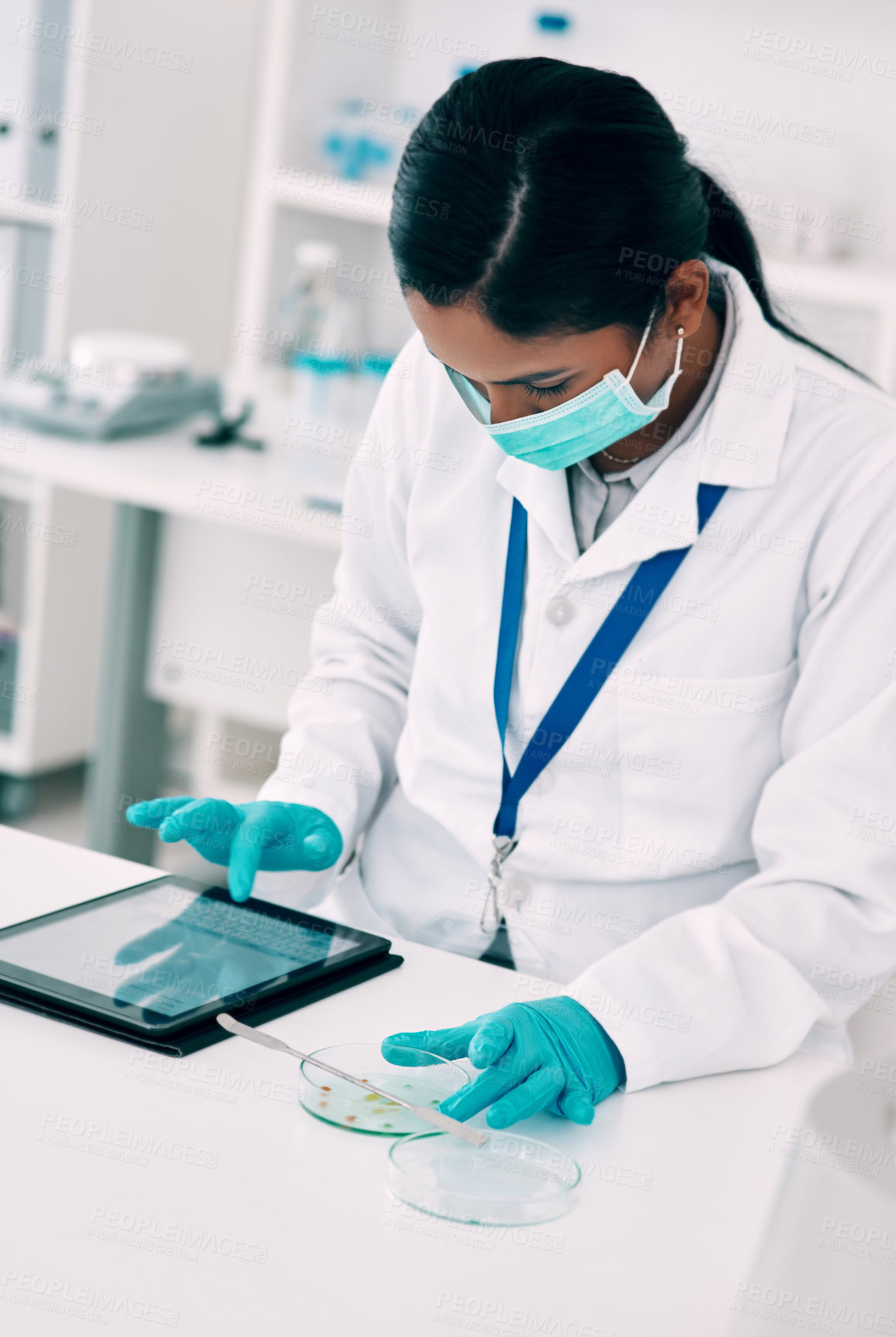 Buy stock photo Cropped shot of an attractive young female scientist using a digital tablet while working in a laboratory