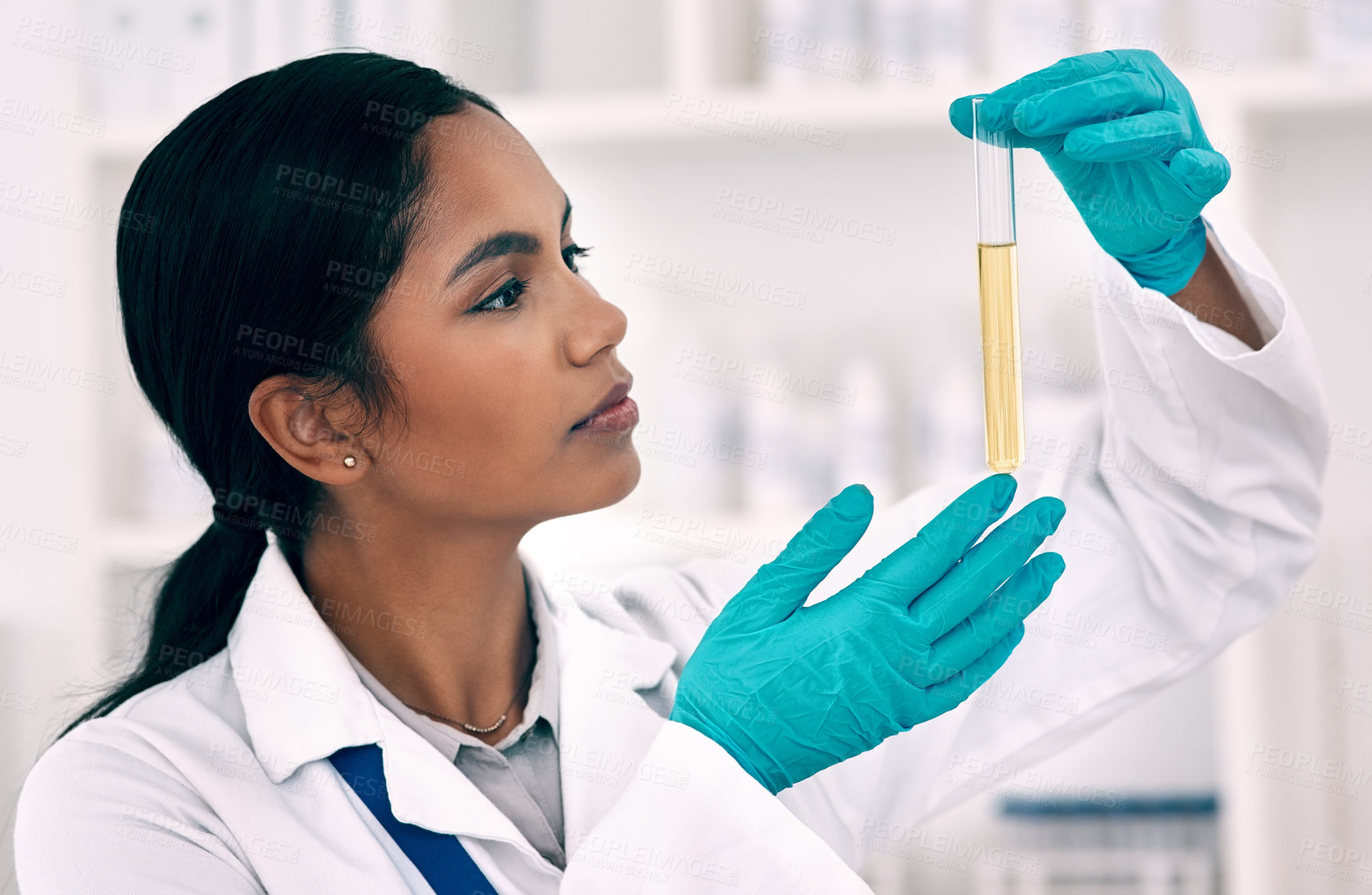 Buy stock photo Cropped shot of an attractive young female scientist inspecting a test tube containing a gold liquid while working in a laboratory