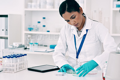 Buy stock photo Scientist, woman and sample with petri dish in laboratory for experiment, research or DNA analysis. Vaccine, healthcare and medicine person for pharmaceutical testing, developing cure or innovation