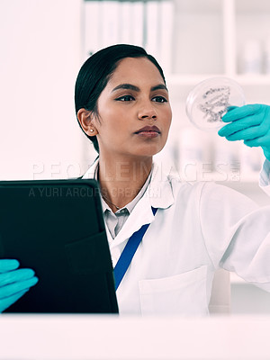 Buy stock photo Cropped shot of an attractive young female scientist  inspecting a petri dish containing a sample while working with a digital tablet in a laboratory