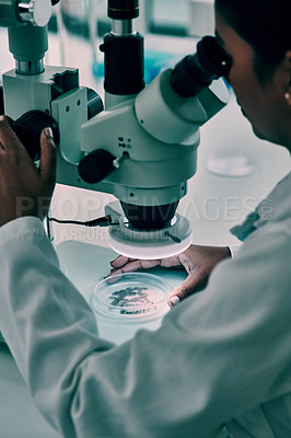 Buy stock photo Cropped shot of an unrecognizable female scientist  using a microscope while working in a laboratory