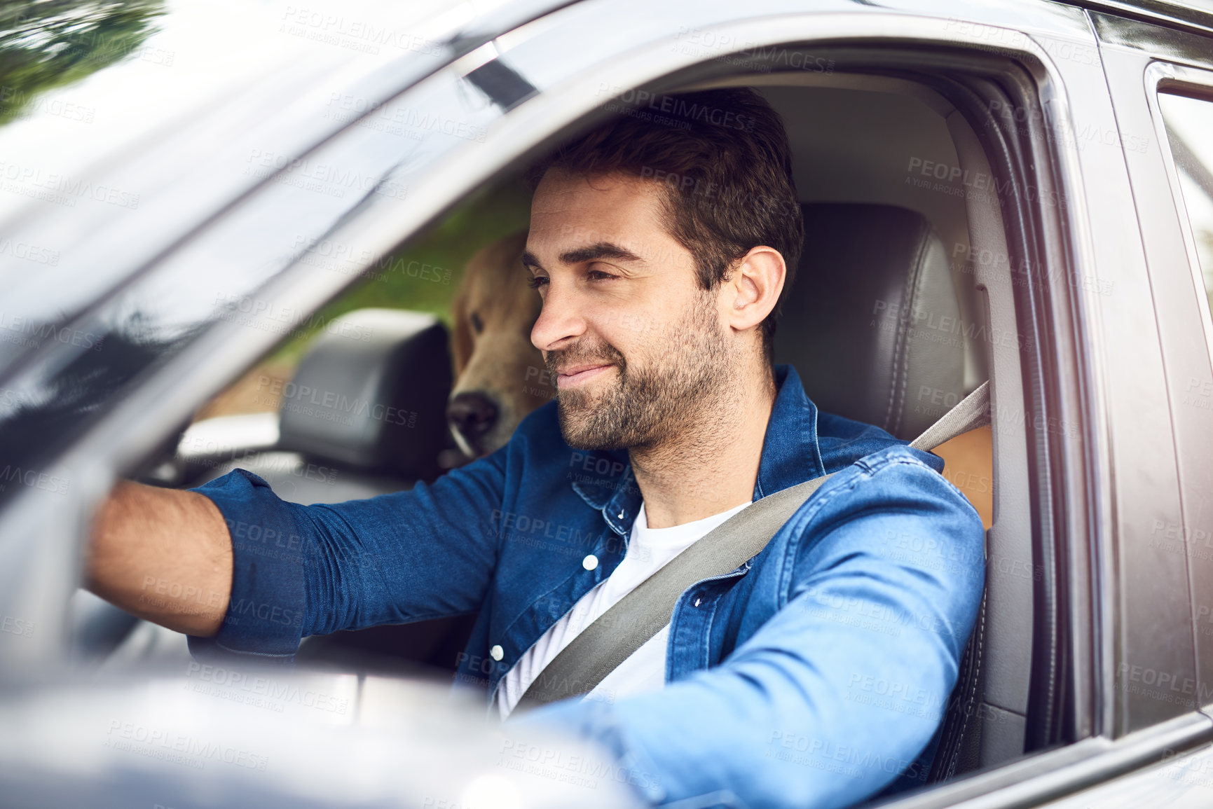 Buy stock photo Man, happy and dog in car for road trip, travel and holiday with bonding, connection and driving. Male person, smile and golden retriever in van for pet care, vacation and break on weekend with puppy