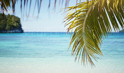 Buy stock photo Beautiful shot of a scenic tropical climate