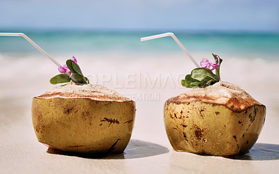Buy stock photo Still life shot of two coconuts placed alongside each other on a beach in Raja Ampat, Indonesia