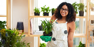 Buy stock photo Cropped portrait of an attractive young female botanist working in her florist