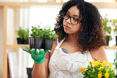 Buy stock photo Cropped shot of an attractive young female botanist comparing two sets of plants while working in her florist