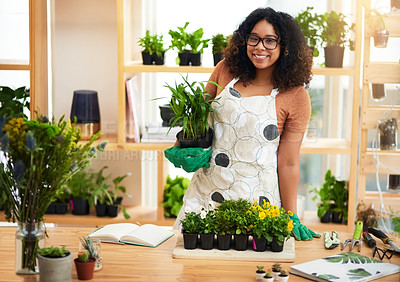 Buy stock photo Cropped portrait of an attractive young female botanist working in her florist