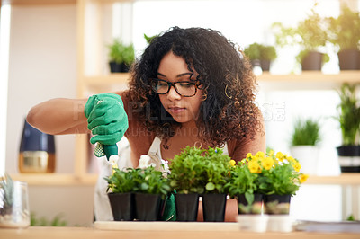 Buy stock photo Cropped shot of an attractive young female botanist potting plants while working in her florist