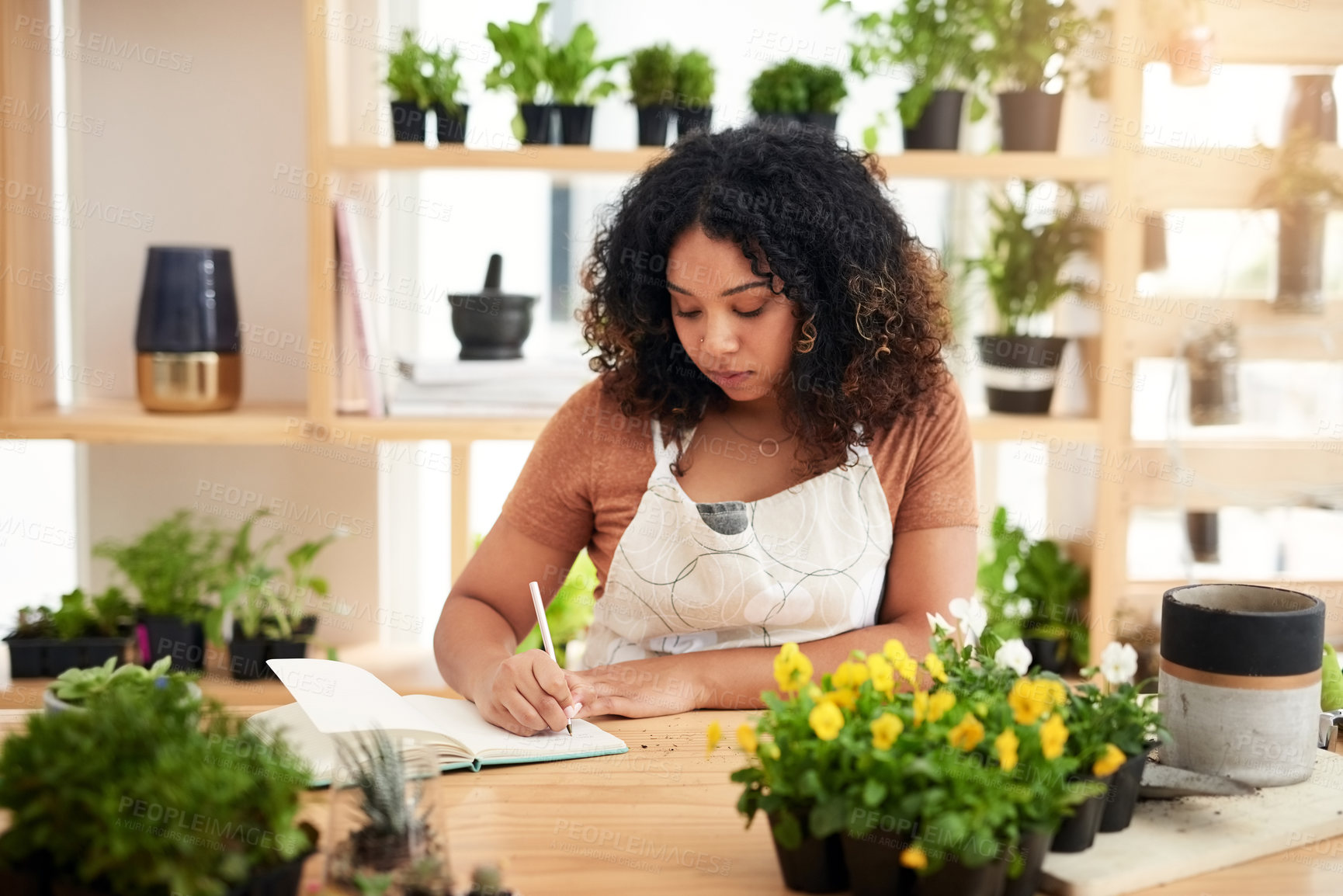 Buy stock photo Woman, florist or writing with flowers for agro business, agriculture or inventory at botany store. Young, female person or botanist taking notes on notebook for eco service, plants or order at shop