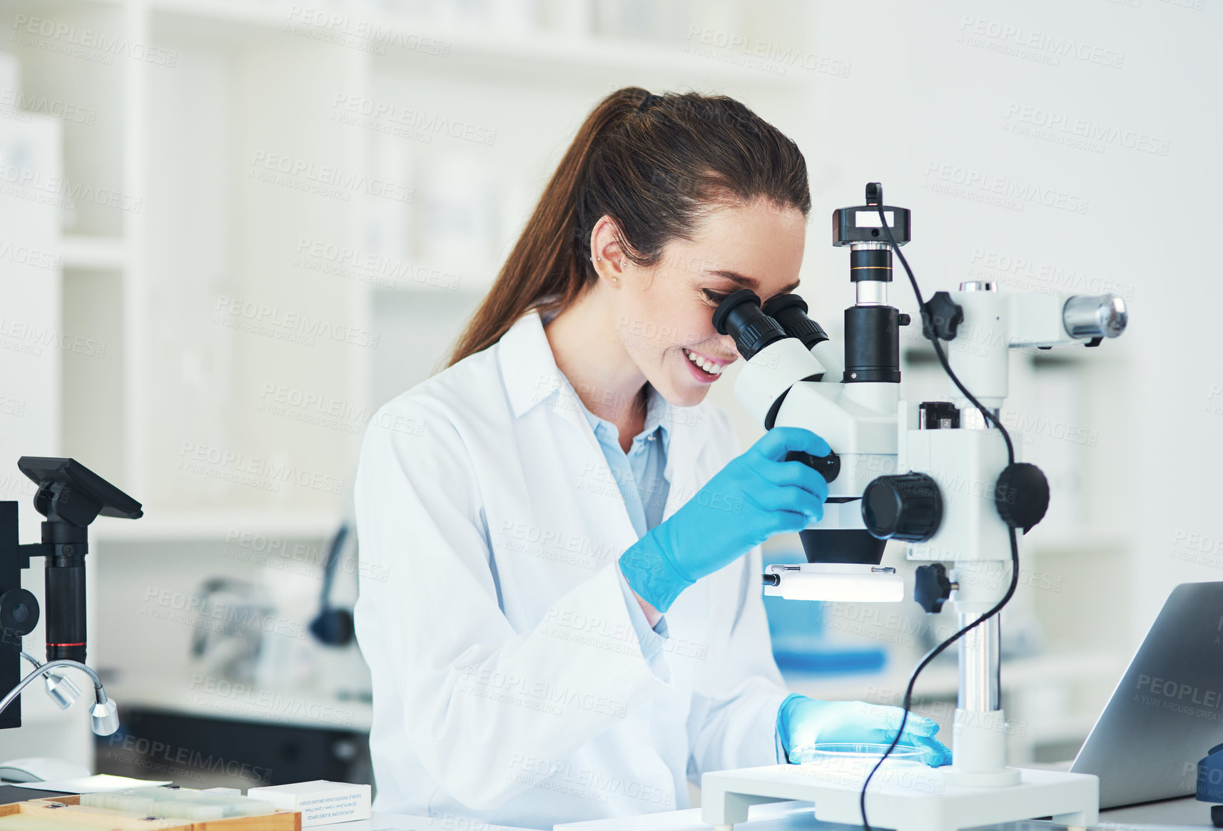 Buy stock photo Microscope, scientist and analysis in science laboratory for medicine, biology and pharmaceuticals. Female person, healthcare and technician in pathology, test or investigation for vaccine innovation