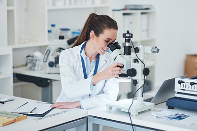 Buy stock photo Cropped shot of a focused young female scientist looking through a microscope while doing tests inside of a laboratory