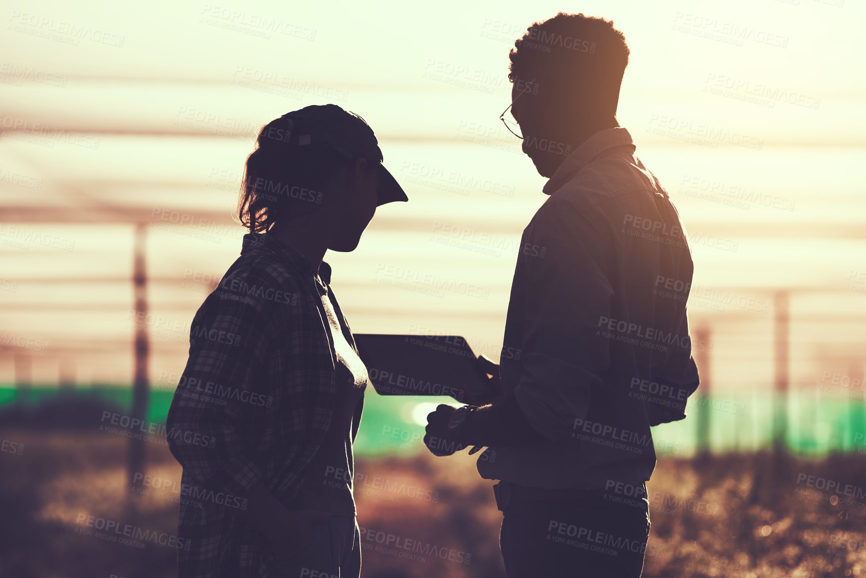 Buy stock photo Cropped shot of two unrecognizable farmers looking at a tablet while working on their farm
