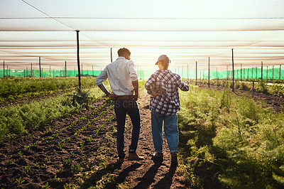 Buy stock photo Young farmers working inside of a greenhouse in serious discussion about eco friendly organic agriculture they are planning on farming. Rear view of a man and woman talking about sustainable land