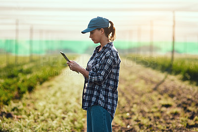 Buy stock photo Farmer with tablet checking growth, monitoring farming progress and managing farm export orders on technology. Serious woman, gardener and environmental scientist analyzing greenhouse data on estate
