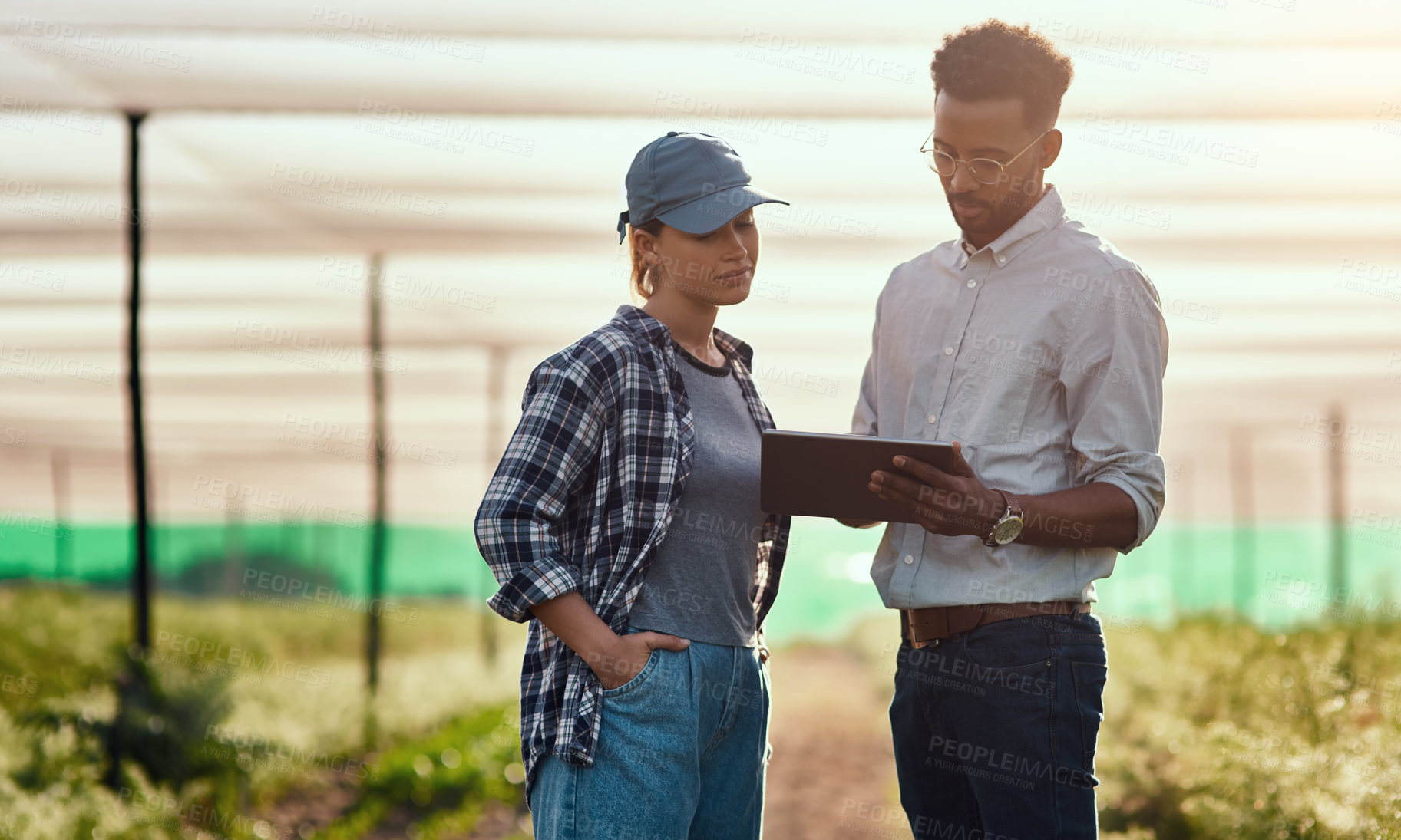 Buy stock photo Cropped shot of two young farmers looking at a tablet while working on their farm