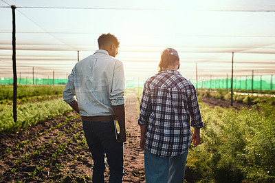 Buy stock photo Rearview shot of two young farmers working inside of a greenhouse on their farm