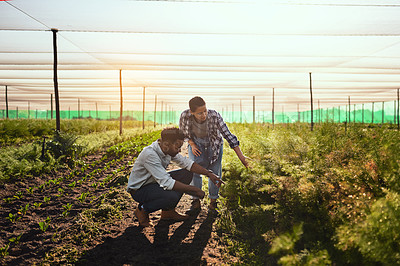 Buy stock photo Full length shot of two young farmers working inside of a greenhouse on their farm
