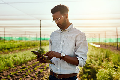 Buy stock photo Male farmer planning online strategy on a tablet looking at farm growth outdoors. Digital agriculture analyst analyzing farming data. Worker research environment and sustainability